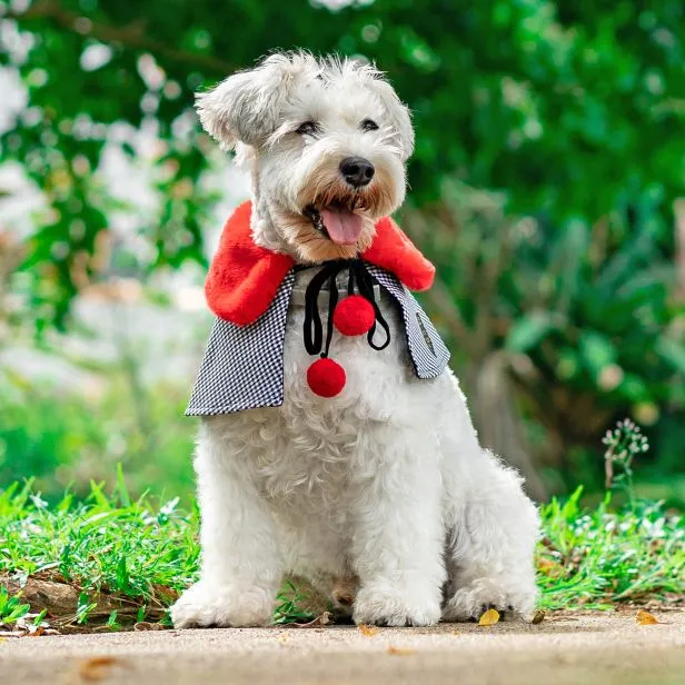 Red Faux Fur Collar Trench Coat in Black/White Checks