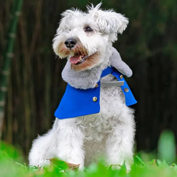 Silver Grey Faux Fur Trench Coat in Royal Blue